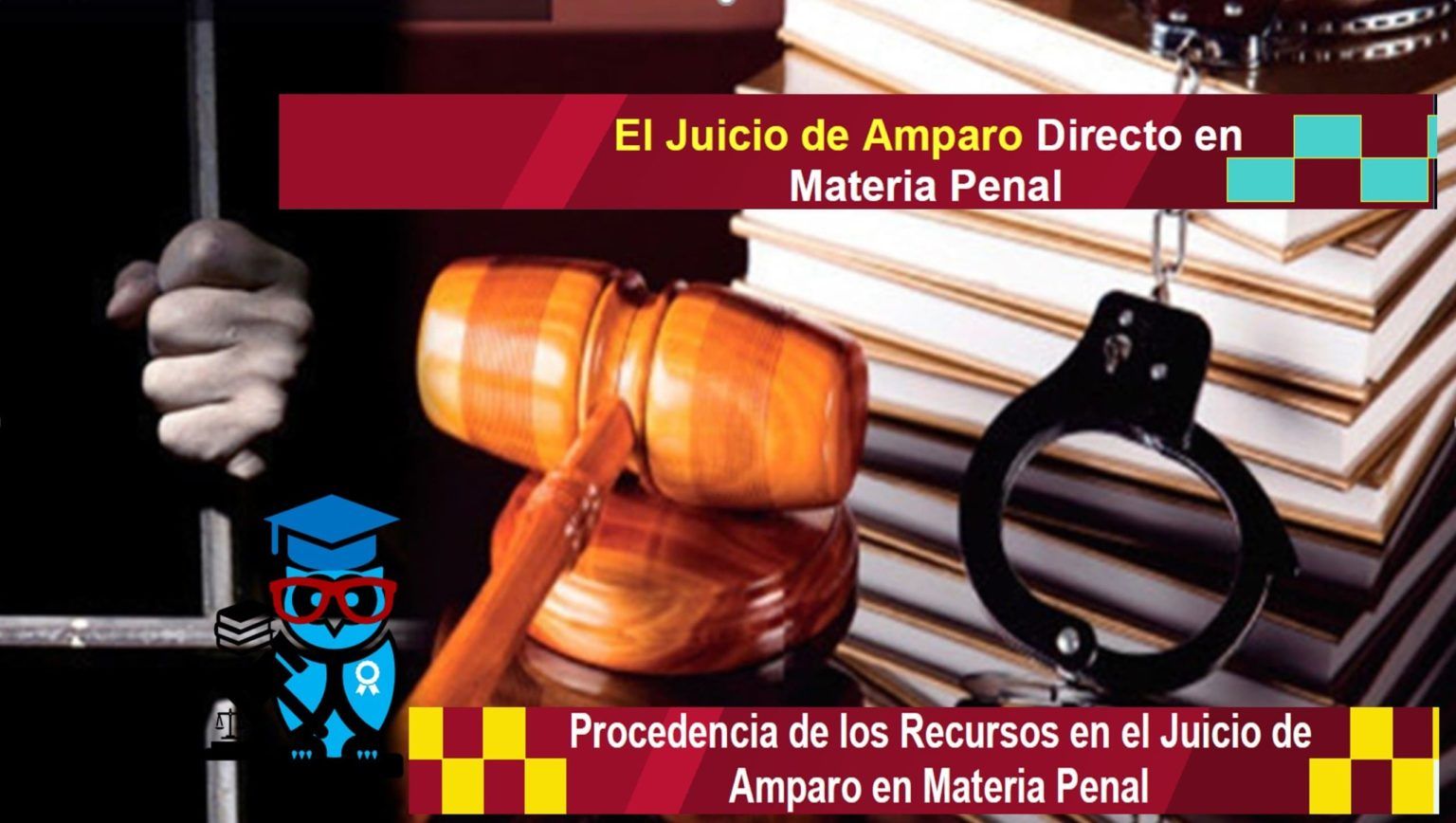 El Juicio De Amparo Principios Fundamentales Legal Web Youtube My Xxx