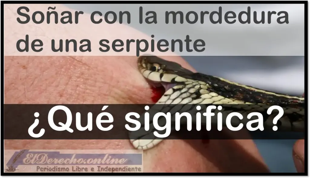 Soñar Que Una Serpiente Muerde A Otra Persona Qué Significa Este Sueño