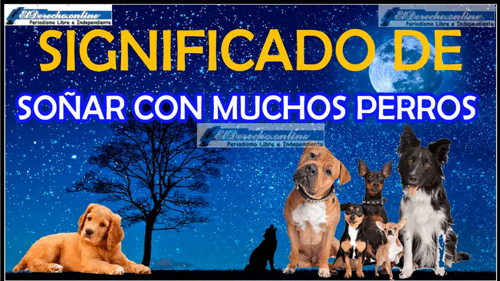 So Ar Con Muchos Perros Qu Significa Este Sue O El Derecho Online