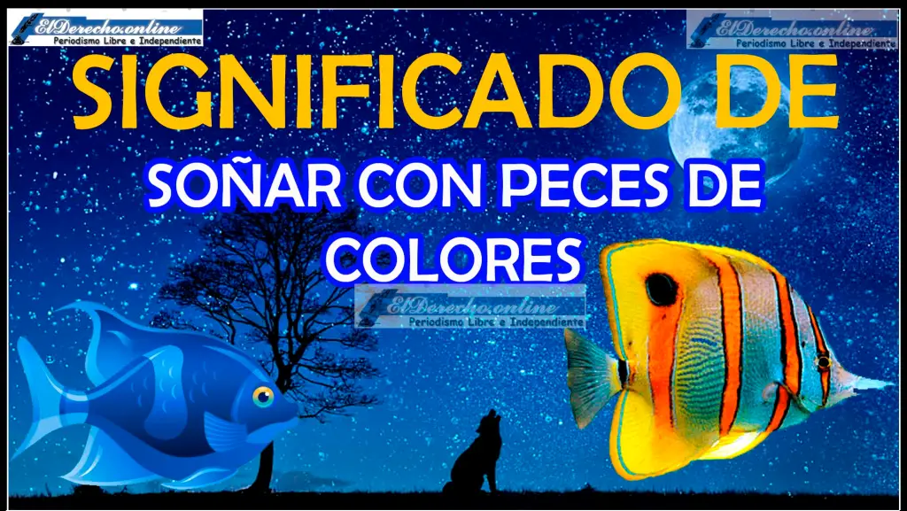 Soñar Con Peces De Colores Qué Significa Este Sueño El Derecho