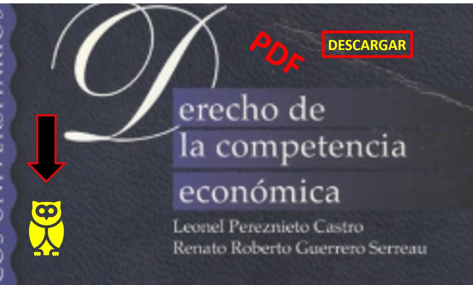 derecho de la competencia economica libro pdf
