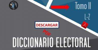 diccionario-electoral-tomo-ii