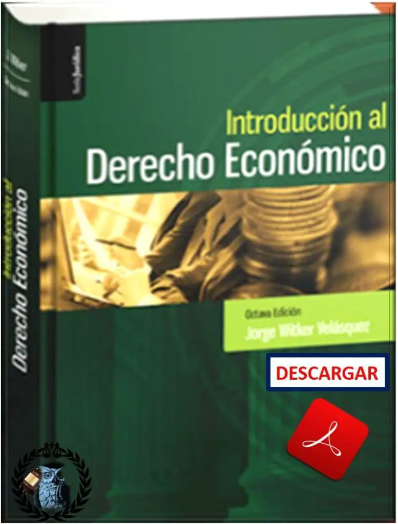 introducción-al-derecho-económico-jorge-witker-pdf
