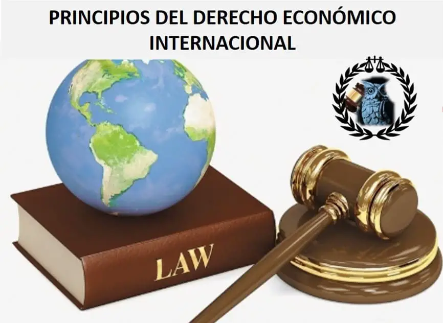 Influencia de los principios del derecho económico internacional en nuestro contexto nacional 