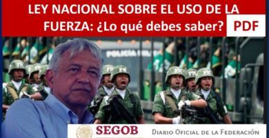 ▷ Ley Nacional sobre el Uso de la Fuerza: ¿Lo qué debes saber? » 2021 El Derecho Online 🥇 DECRETO por el que se expide la Ley Nacional sobre el Uso de la Fuerza.