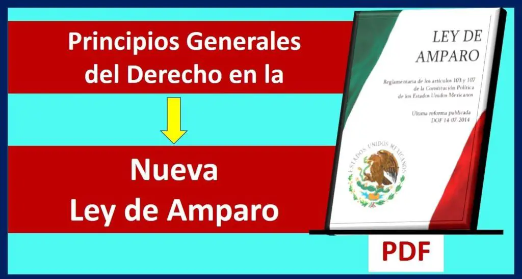 Principios Generales del Derecho en la Nueva Ley de Amparo