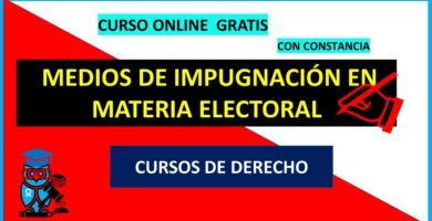 medios de impugnación en materia electoral curso en linea