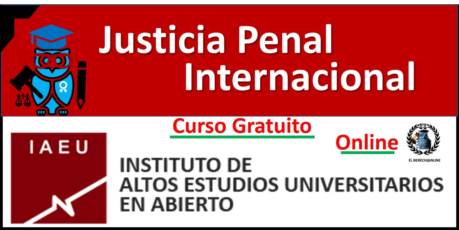 curso de derecho penal internacional online