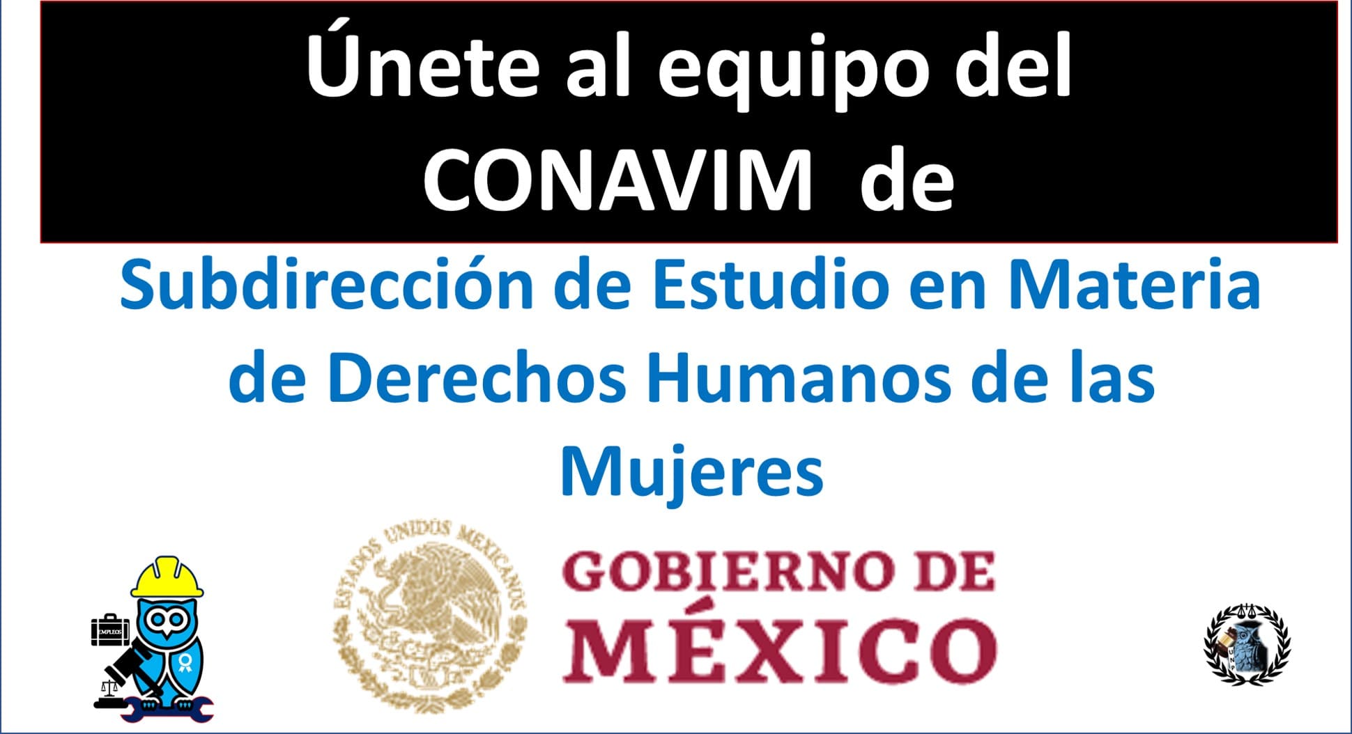 ▷ Subdirección de Estudio en Materia de Derechos Humanos de las Mujeres » 2021 El Derecho Online 🥇 bolsa-de-trabajo-2020