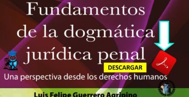 Libro: Fundamentos de la Dogmática Jurídica Penal. Una perspectiva desde los derechos humanos de Luis Felipe Guerrero Agripino en PDF 