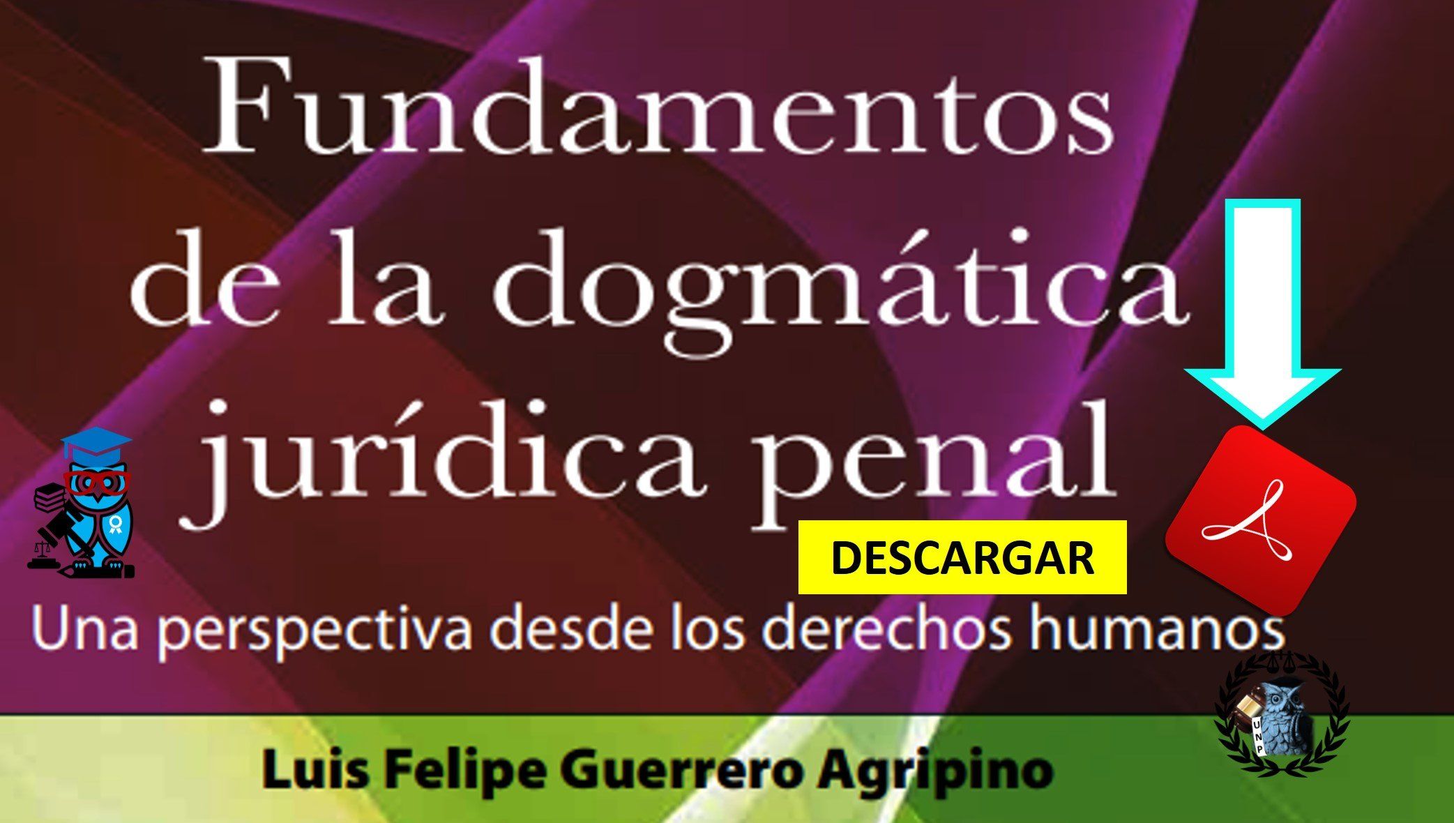 Libro: Fundamentos de la Dogmática Jurídica Penal. Una perspectiva desde los derechos humanos de Luis Felipe Guerrero Agripino en PDF 