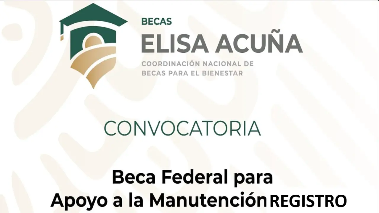 ▷ Ayudas, Becas y Apoyos Económico para Madres Solteras AMLO - 2020 -2021 » 2020 El Derecho Online 🥇 beca manutención federal 2020 ii