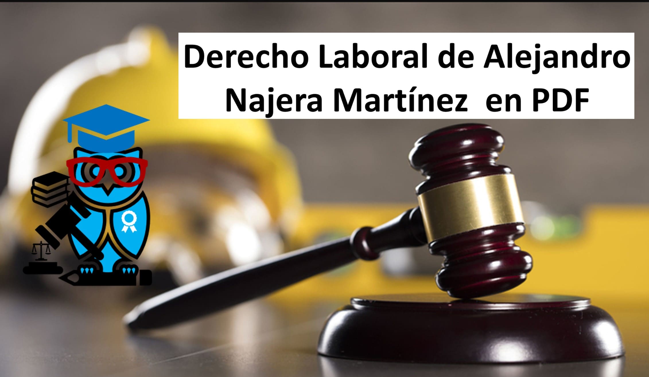 Derecho Laboral de Alejandro Najera Martínez en PDF