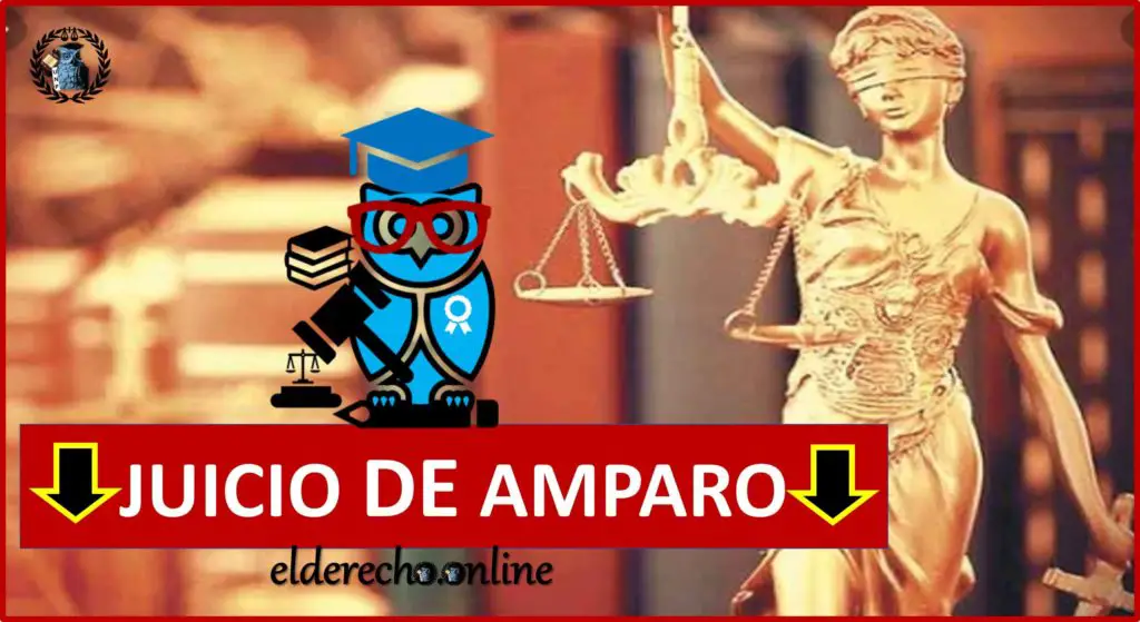 El Juicio De Amparo: Directo E Indirecto (2023)