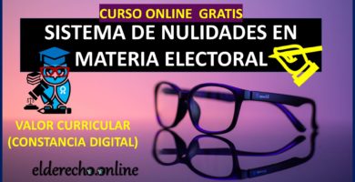 Curso: Sistema de Nulidades en Materia Electoral