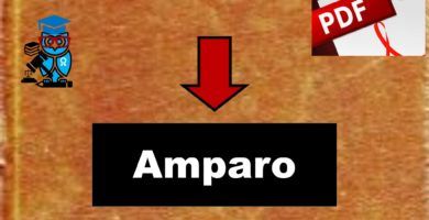 libros de amparo pdf