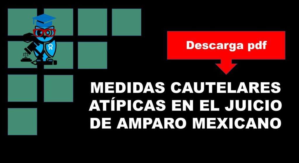 libros de amparo pdf