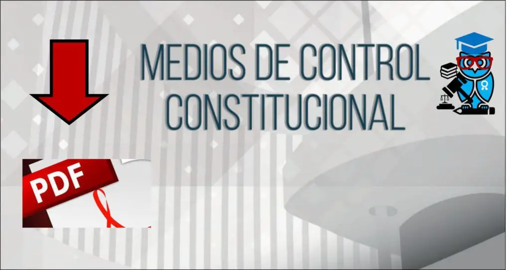 libros de juicio de amparo pdf