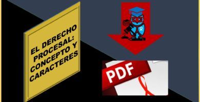 pdf derecho procesal