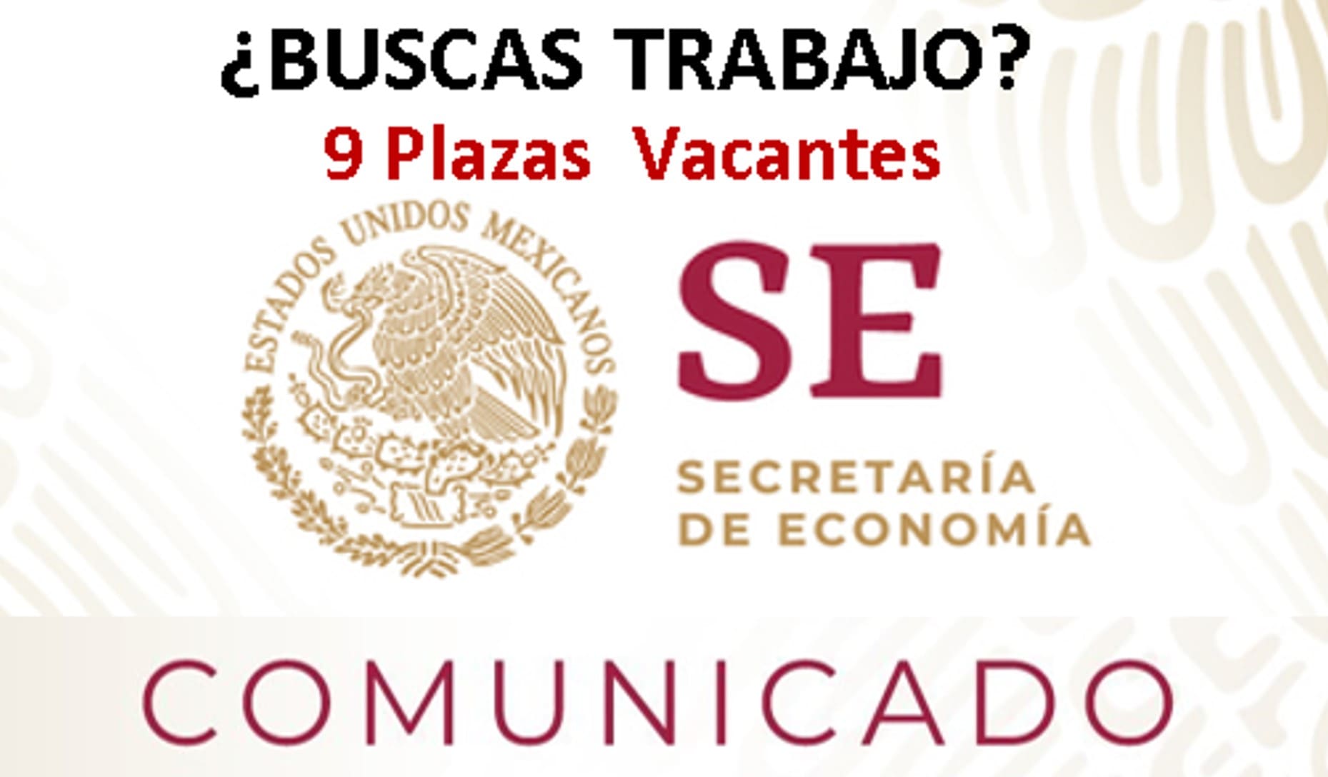 ▷ Nuevas Plazas Vacantes en la Secretaría de Economía 2020 » 2020 El Derecho Online 🥇 bolsa de trabajo secretaria de economia 2020