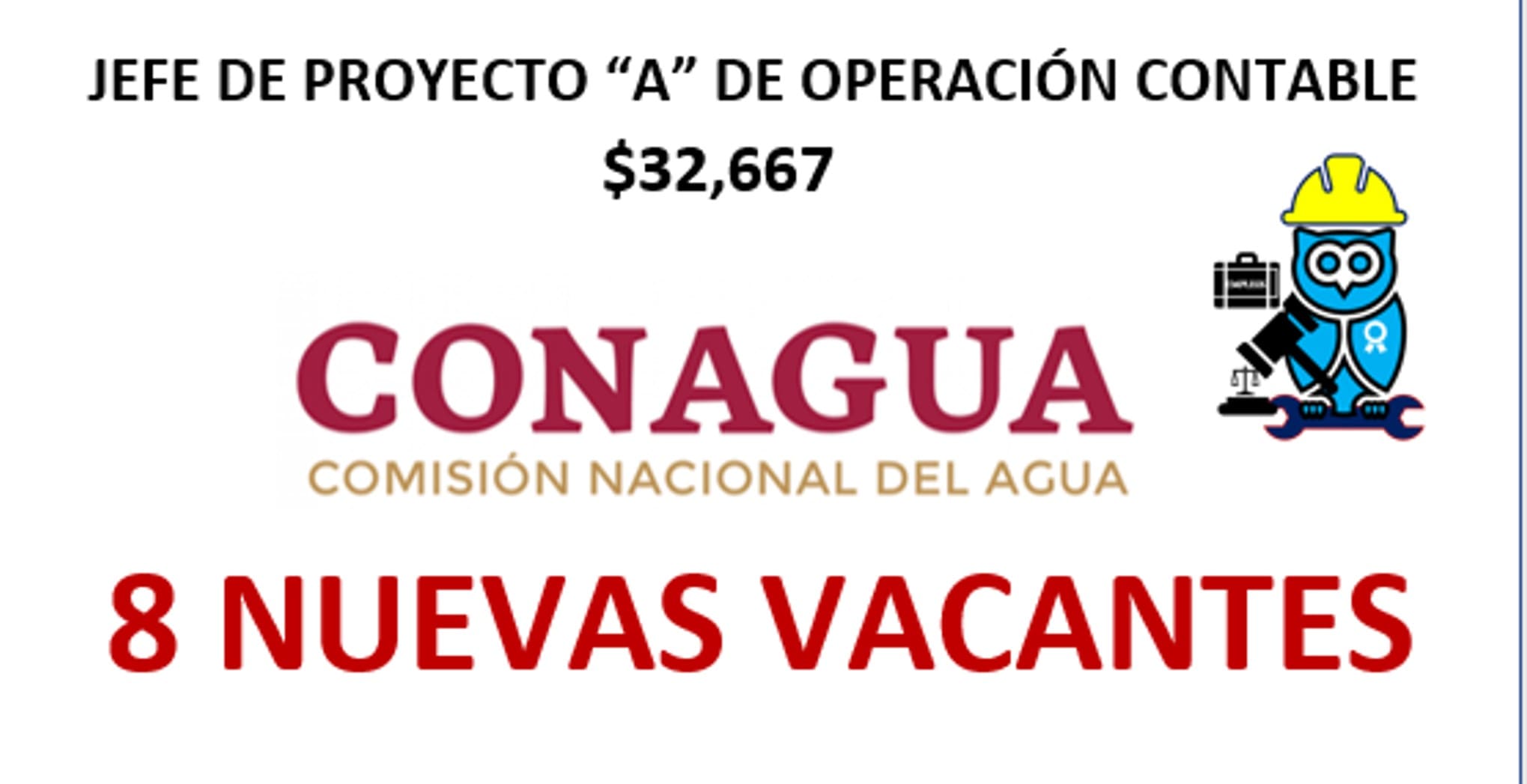 ▷ Jefe de Proyecto “A” de Operación Contable » 2020 El Derecho Online 🥇 conagua-empleos