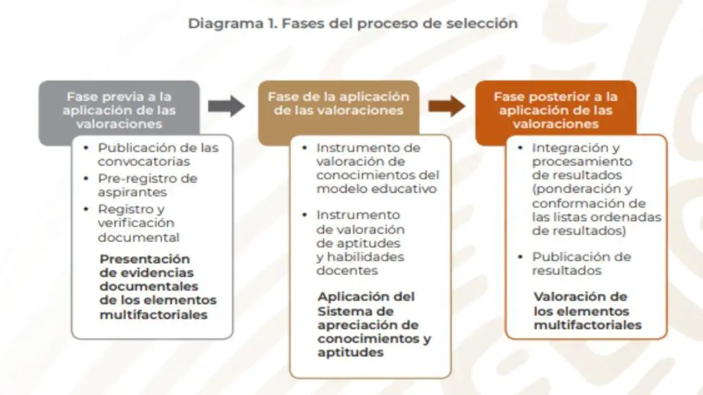 Fases del proceso de selección