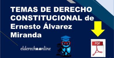 temas de derecho constitucional álvarez miranda pdf