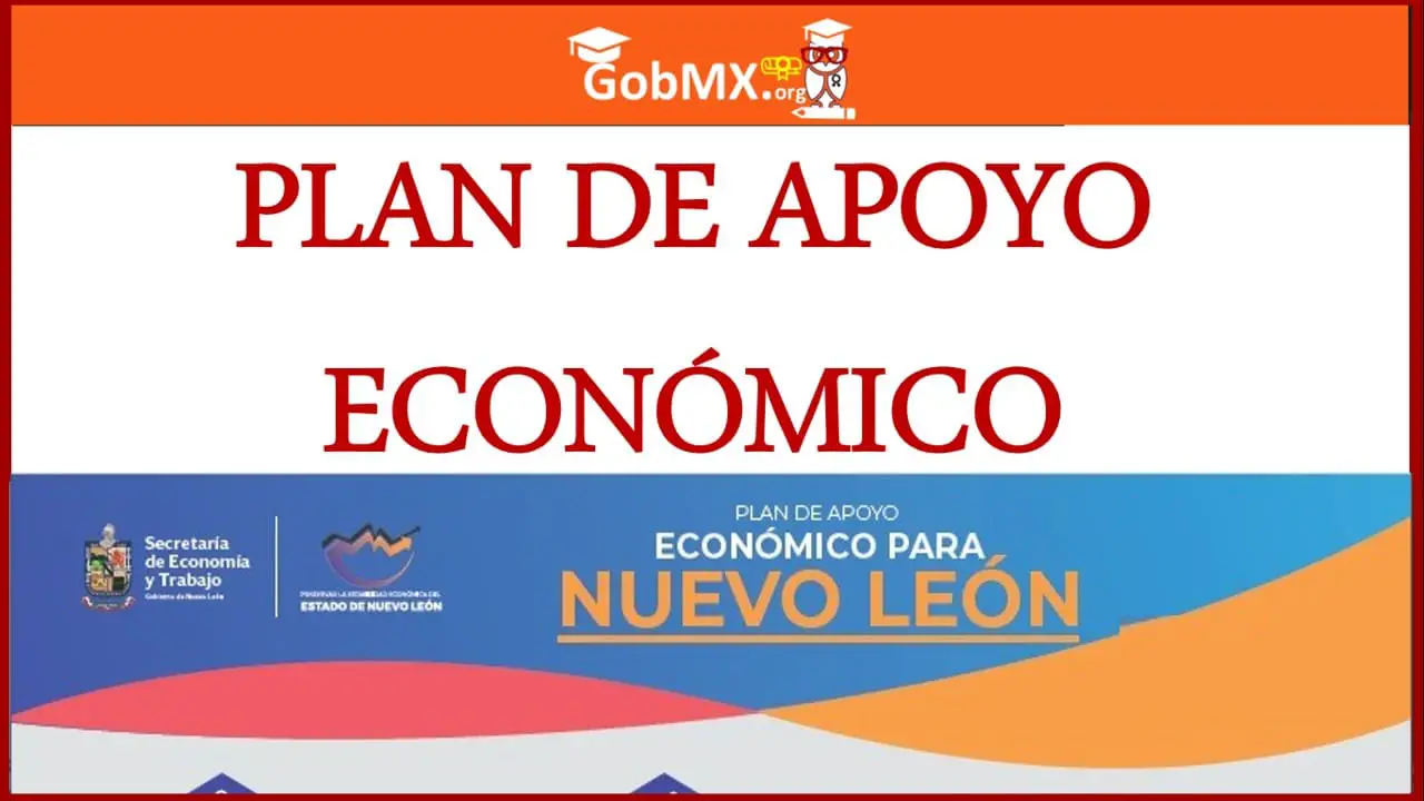 ▷ Ayudas, Becas y Apoyos Económico para Madres Solteras AMLO - 2020 -2021 » 2020 El Derecho Online 🥇 Plan de Apoyo Económico para el Estado de Nuevo León