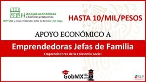 Apoyo Económico para Emprendedoras Mujeres Jefas de Familia y Emprendedores de la Economía Social