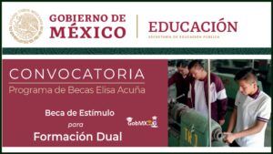 convocatoria beca formacion dual