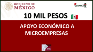 Programa de Apoyo a Microempresas 2020