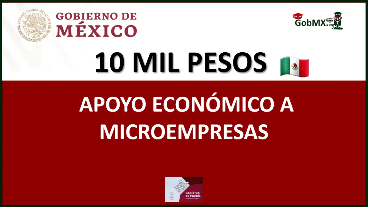 ▷ Programa de Apoyo a Microempresas 2020 » 2020 El Derecho Online 🥇 Programa de Apoyo a Microempresas 2020