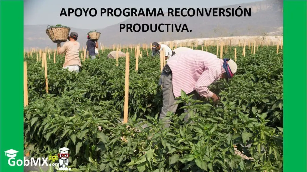 Apoyo Programa Reconversión Productiva.Apoyo Programa Reconversión Productiva.