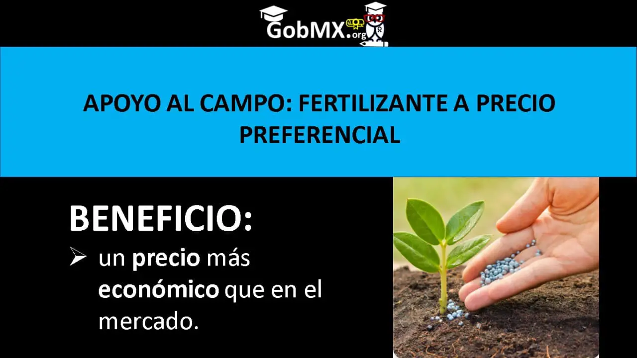 ▷ Apoyo al Campo: Fertilizante a Precio Preferencial » 2020 El Derecho Online 🥇 Apoyo al Campo: Fertilizante a Precio Preferencial