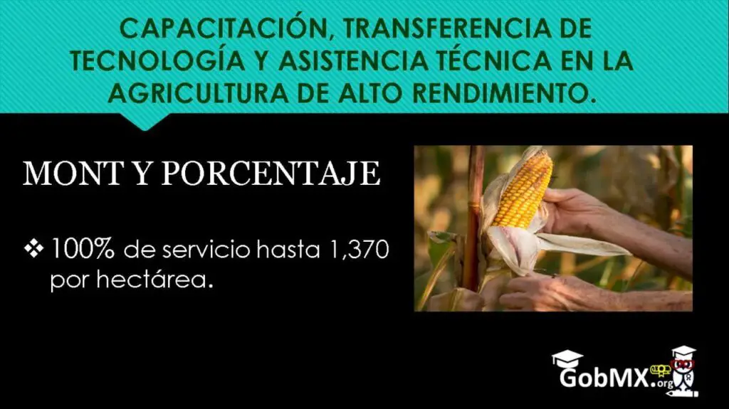Apoyo al Campo para la Capacitación, Transferencia de Tecnología y Asistencia Técnica en la Agricultura de Alto Rendimiento.