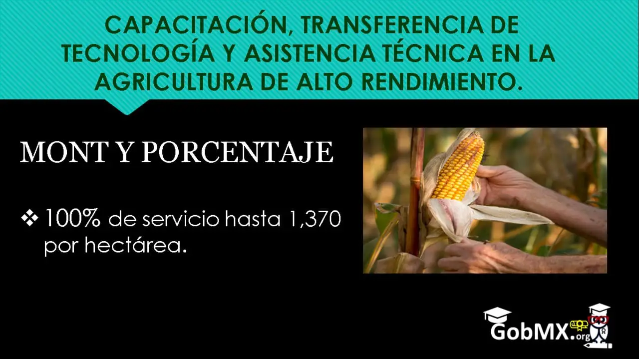 ▷ Apoyo al Campo para la Capacitación, Transferencia de Tecnología y Asistencia Técnica en la Agricultura de Alto Rendimiento. » 2020 El Derecho Online 🥇 Apoyo al Campo para la Capacitación, Transferencia de Tecnología y Asistencia Técnica en la Agricultura de Alto Rendimiento.