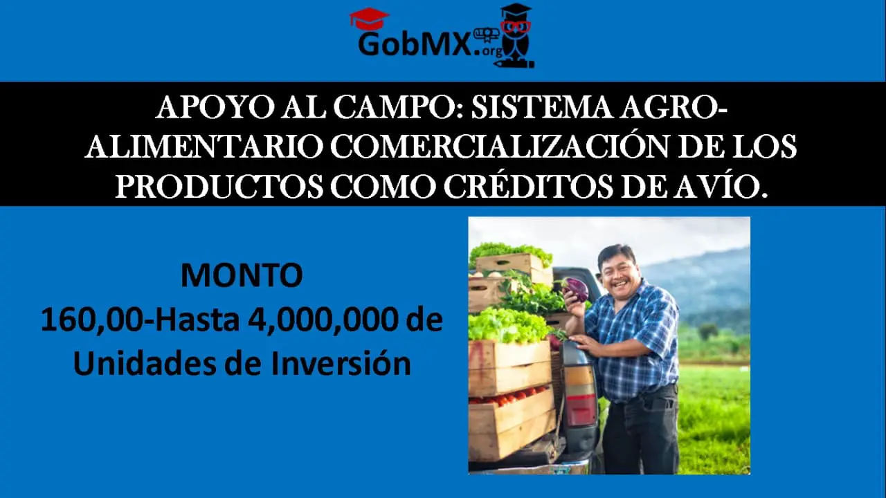 ▷ Apoyo al campo: Sistema Agro-alimentario Comercialización de los Productos como Créditos de Avío. » 2021 El Derecho Online 🥇 Apoyo al campo: Sistema Agro-alimentario Comercialización de los Productos como Créditos de Avío.