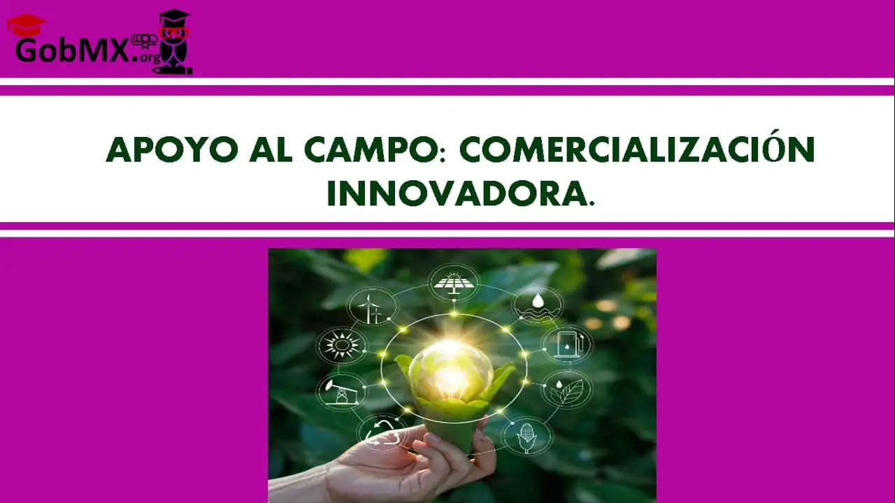 ▷ Apoyo al Campo: comercialización Innovadora » 2020 El Derecho Online 🥇 apoyo-al-campo-comercializacion-innovadora
