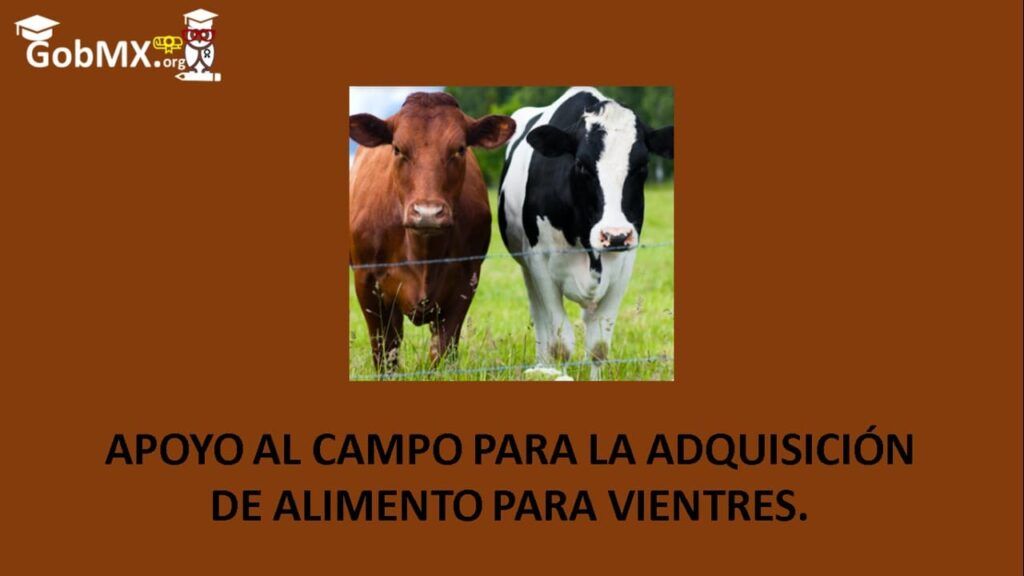 apoyo-al-campo-para-la-adquisicion-de-alimento-para-vientres