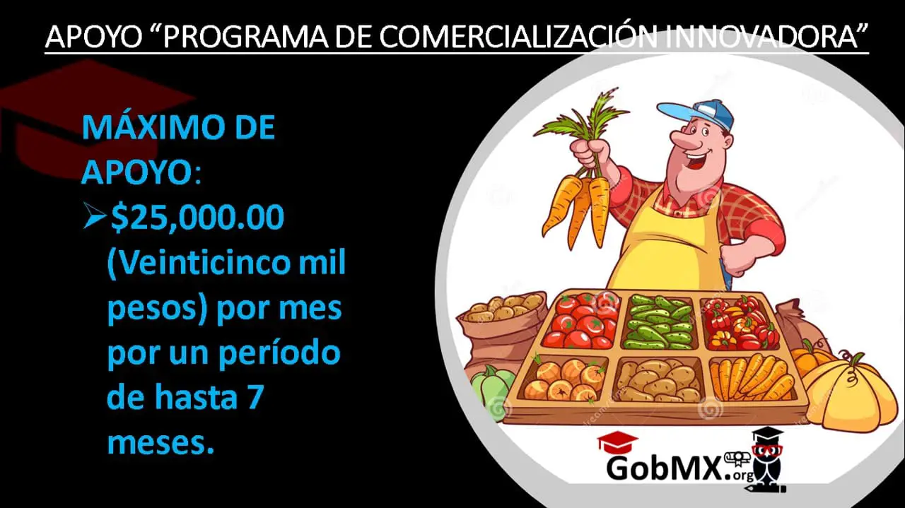 ▷ Apoyo “Programa de Comercialización Innovadora” » 2021 El Derecho Online 🥇 apoyo-programa-de-comercializacion-innovadora