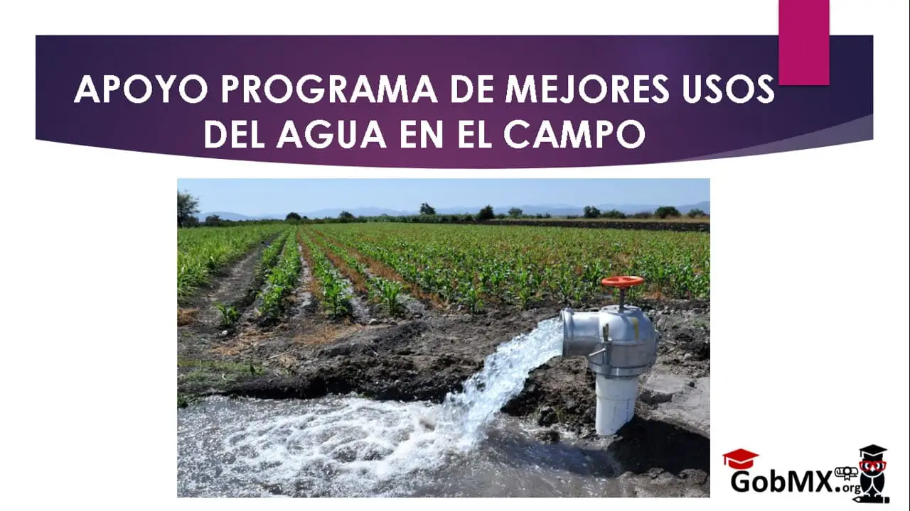 ▷ Apoyo Programa de Mejores Usos del Agua en el Campo » 2021 El Derecho Online 🥇 programa-de-mejores-usos-del-agua-en-el-campo