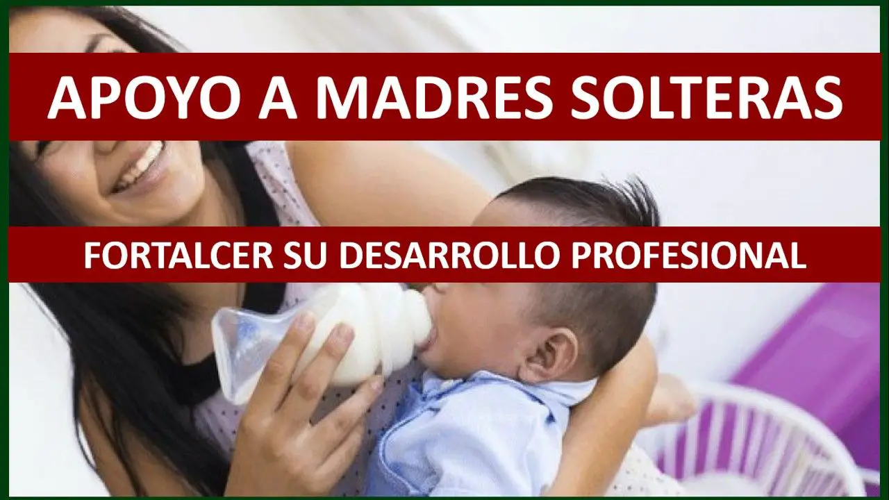 ▷ Apoyo a Madres Solteras 2021 » 2020 El Derecho Online 🥇 Registro de Solicitud al programa de Apoyo a Madres Solteras 2020-2021