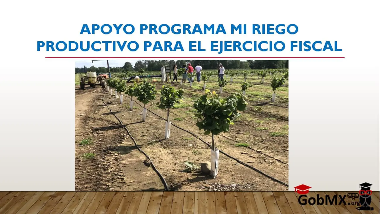 ▷ Apoyo Programa Mi Riego Productivo para el Ejercicio Fiscal » 2020 El Derecho Online 🥇 apoyo-programa-mi-riego-productivo-para-el-ejercicio-fiscal