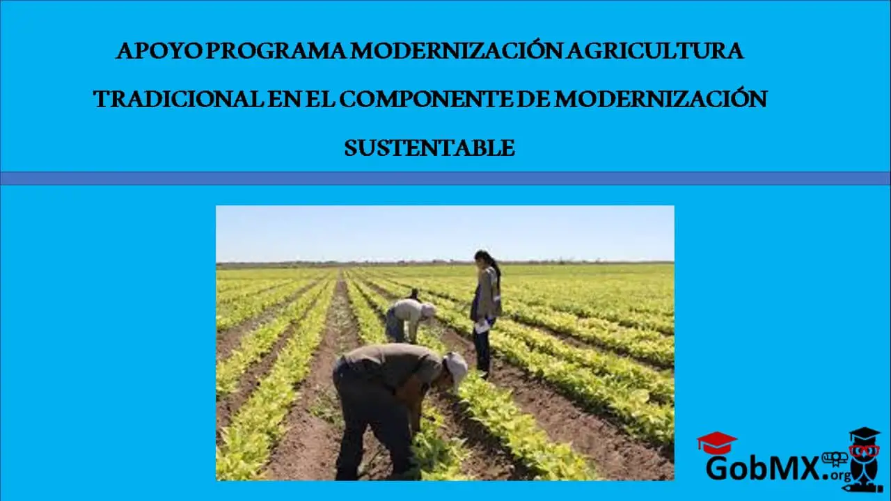 ▷ Apoyo Programa Modernización Agricultura Tradicional en el Componente de Modernización Sustentable » 2020 El Derecho Online 🥇 apoyo-programa-modernizacion-agricultura-tradicional-en-el-componente-de-modernizacion-sustentable