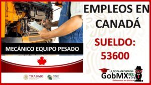 ▷ DIRECTOR(A) DE SEGUIMIENTO E IMPLEMENTACION DE MEDIDAS PREVENTIVAS O DE PROTECCION » 2021 El Derecho Online 🥇 canada-empleo-de-mecanico-con-salario-de-53-mil-600-pesos