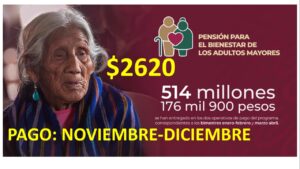 ▷ Pensión adultos mayores 2021-2022 » 2021 El Derecho Online 🥇 Pago de Pensión Adultos Mayores 2020 Noviembre - Diciembre: Registro, Requisitos y recomendaciones