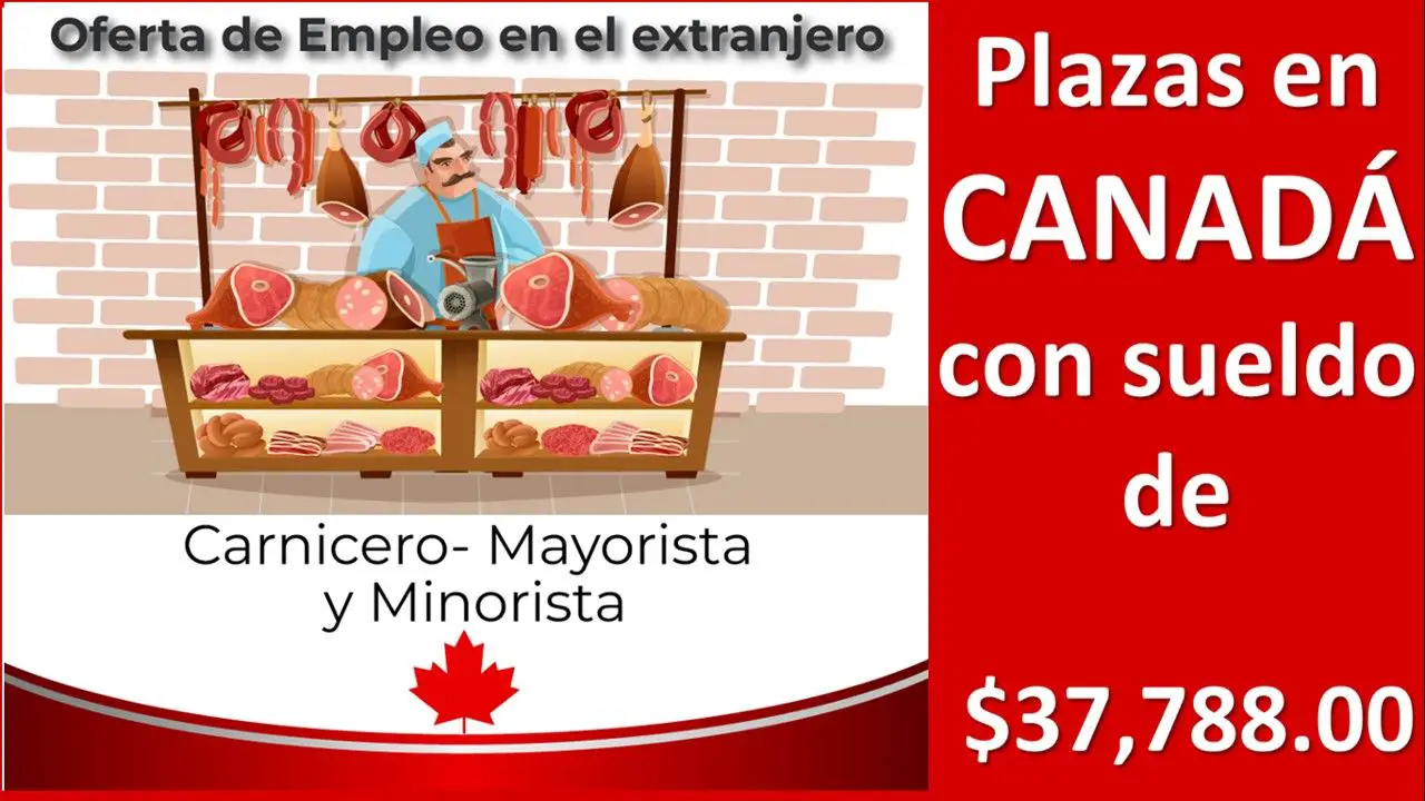 ▷ Canadá: Hay Plazas Vacantes de $37,788.00 como Carnicero - mayorista y minorista » 2021 El Derecho Online 🥇 trabajo-de-carnicero-en-canada