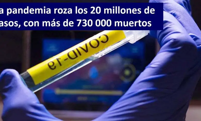 ▷ La pandemia roza los 20 millones de casos, con más de 730 000 muertos » 2020 El Derecho Online 🥇 La pandemia roza los 20 millones de casos, con más de 730 000 muertos