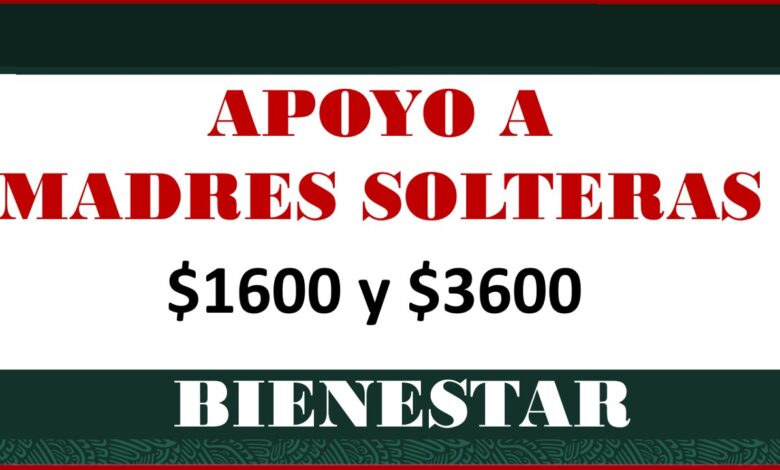 ▷ Apoyo para Madres Solteras 2020-2021 » 2020 El Derecho Online 🥇 Apoyo para Madres Solteras 2021