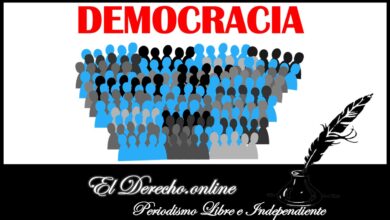 Ensayo: Democracia y Organización